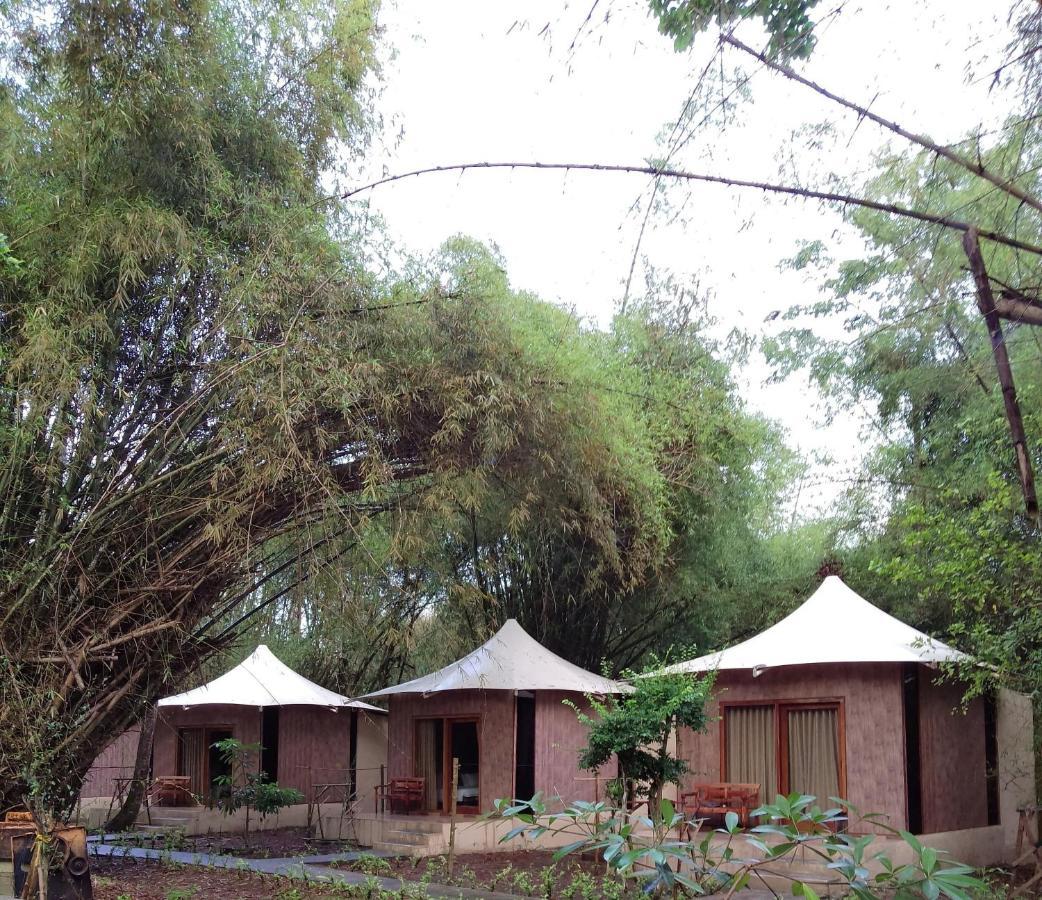 Jawa Jiwa G-Land Resort Dadapan Exterior foto
