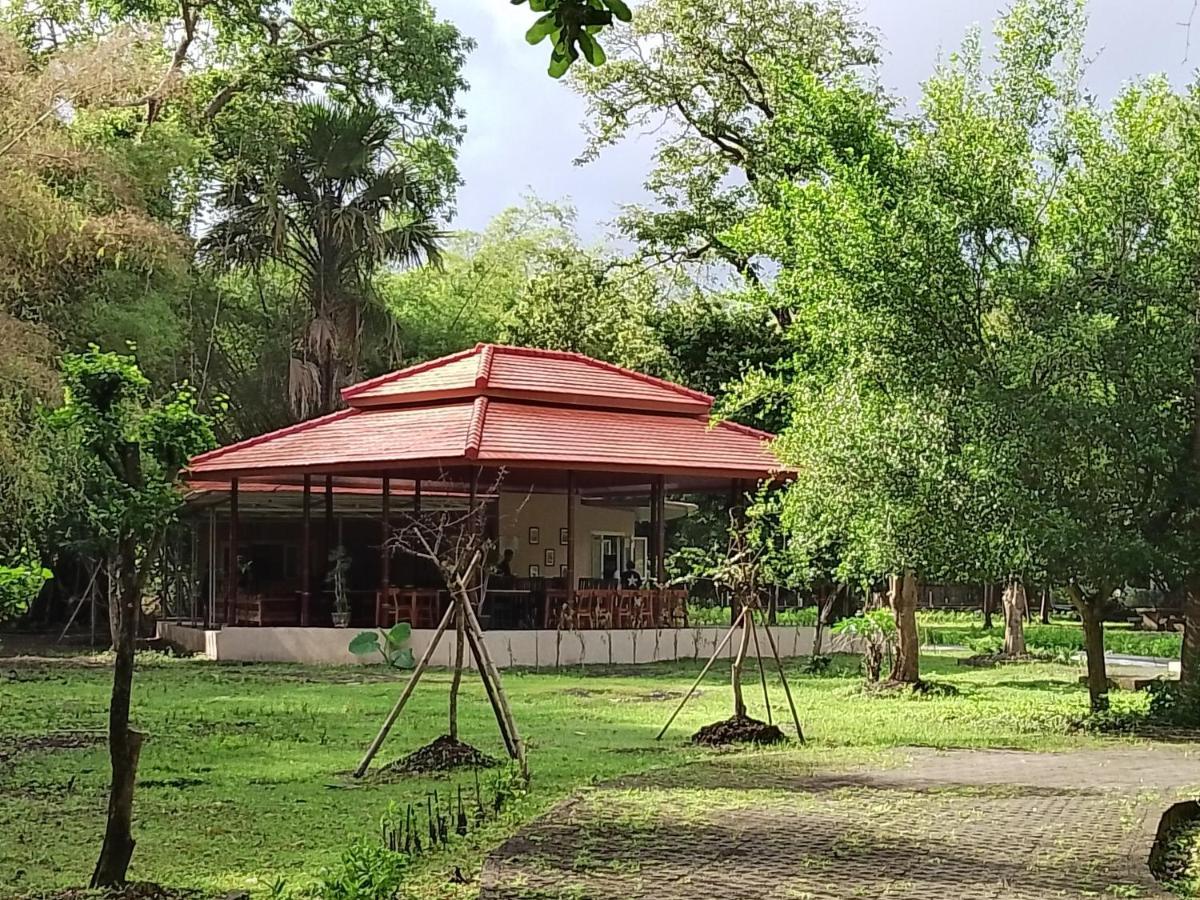 Jawa Jiwa G-Land Resort Dadapan Exterior foto