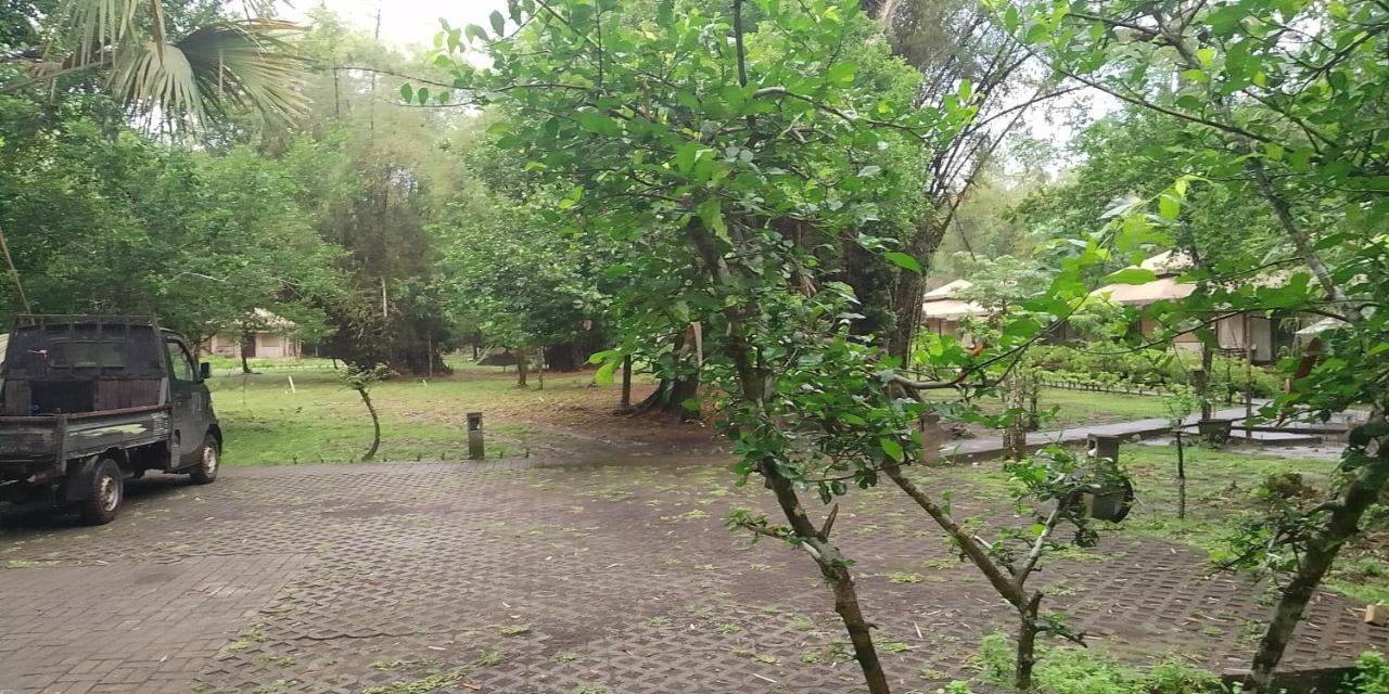 Jawa Jiwa G-Land Resort Dadapan Exterior foto